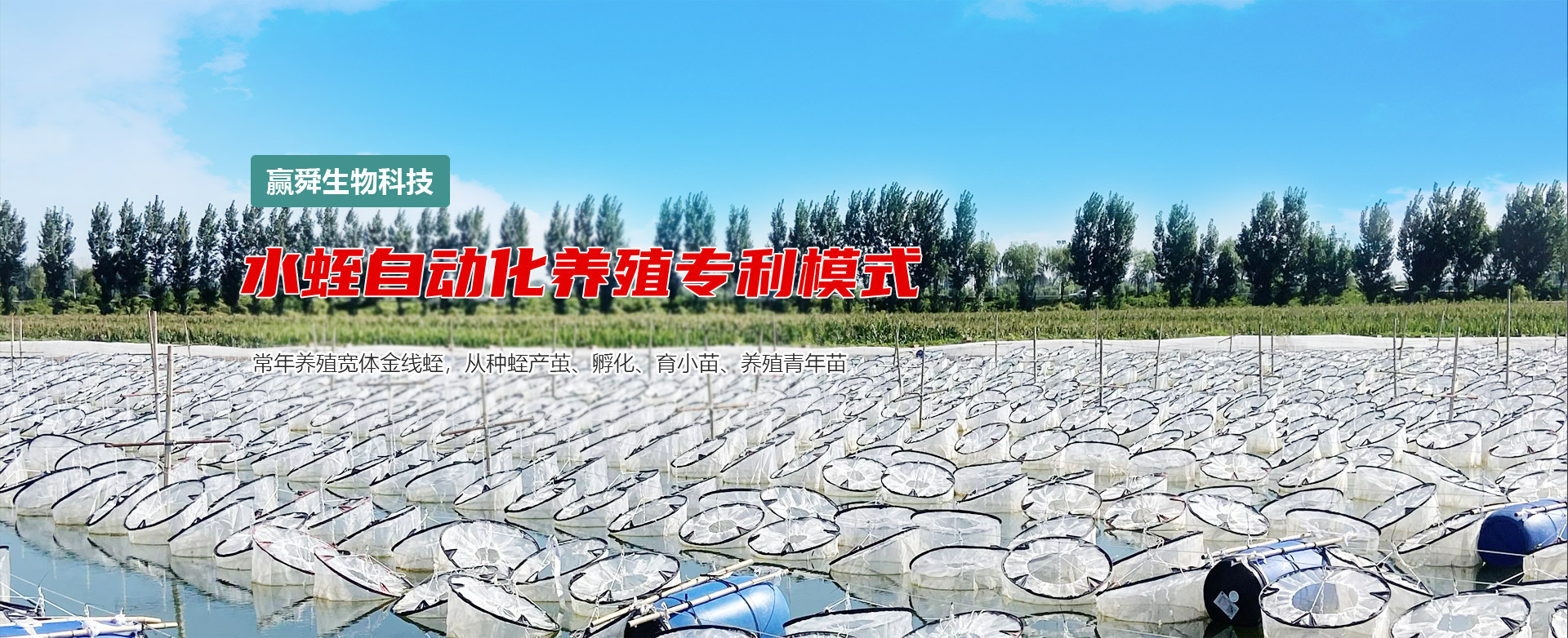 WilliamHill威廉希尔