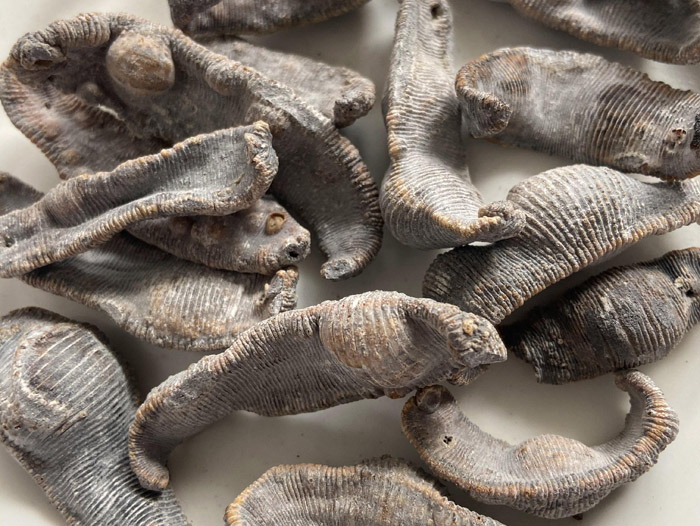 WilliamHill威廉希尔制品