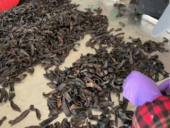 WilliamHill威廉希尔制品