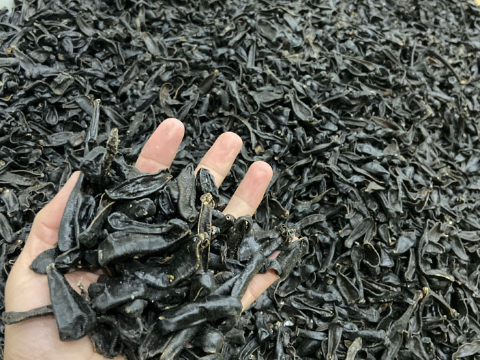 WilliamHill威廉希尔制品