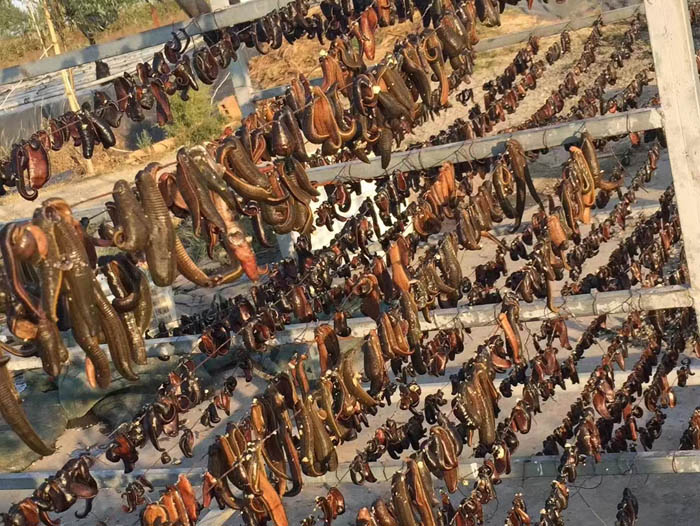 WilliamHill威廉希尔制品