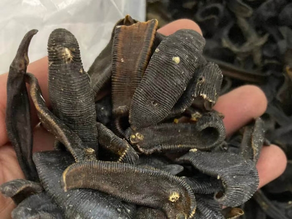 WilliamHill威廉希尔制品