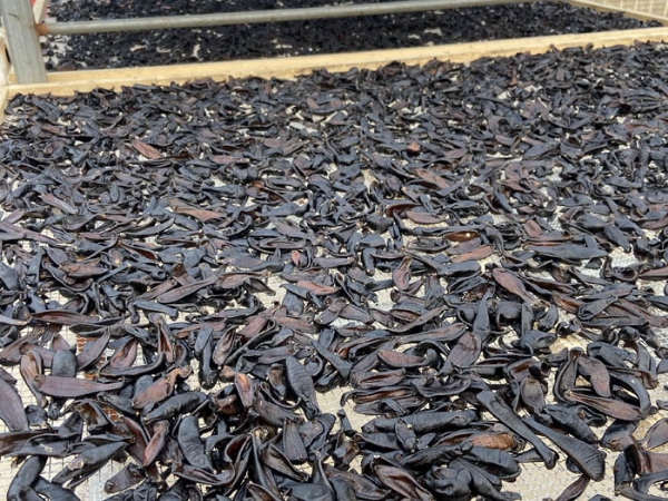 WilliamHill威廉希尔制品