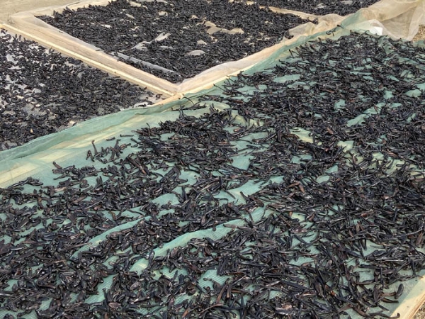 WilliamHill威廉希尔制品