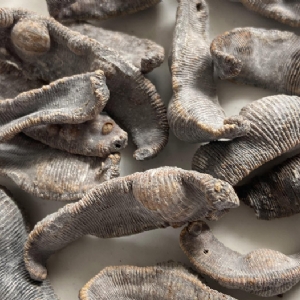 WilliamHill威廉希尔制品