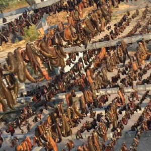 WilliamHill威廉希尔制品