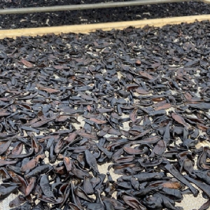 WilliamHill威廉希尔制品