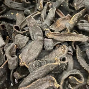 WilliamHill威廉希尔制品