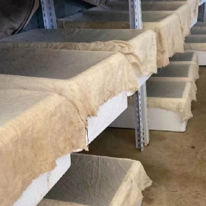 WilliamHill威廉希尔卵茧