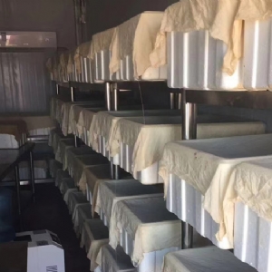 WilliamHill威廉希尔卵茧