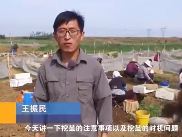 挖茧机遇及当苦衷项