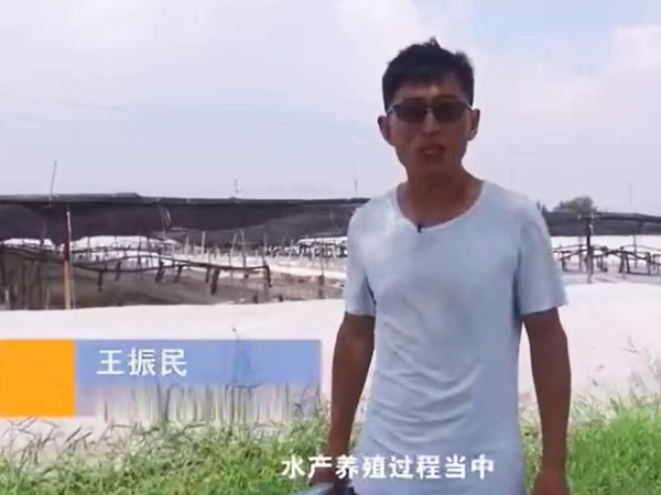 菌种介绍-乳酸菌介绍