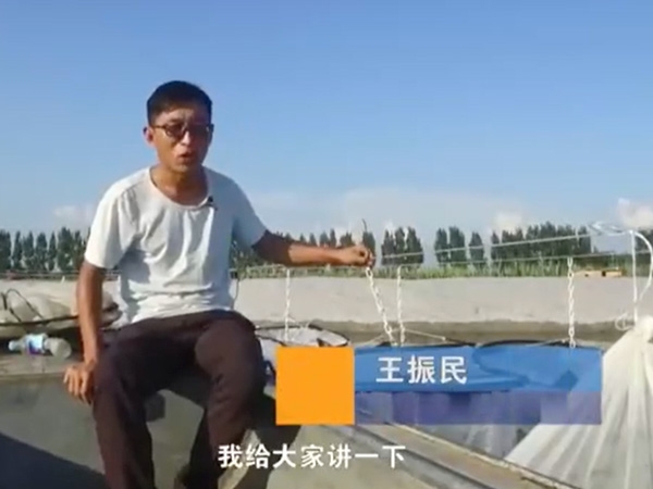 养殖治理-吊笼介绍