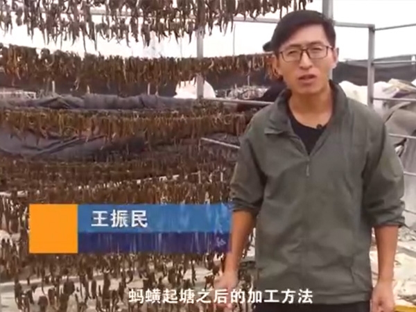 WilliamHill威廉希尔加工步骤