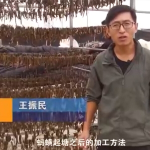 WilliamHill威廉希尔加工步骤