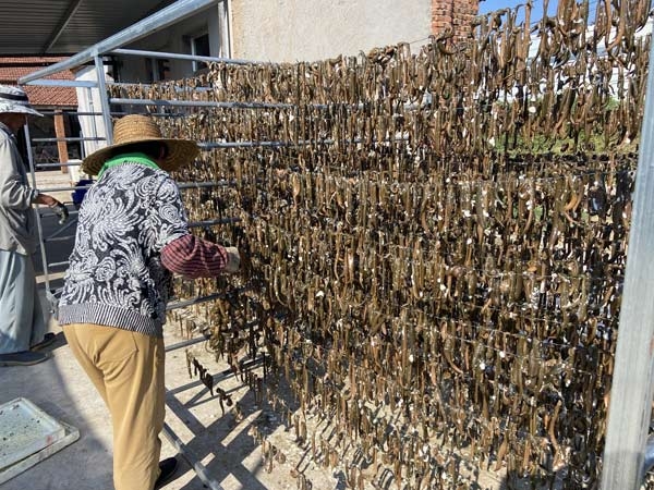 WilliamHill威廉希尔制品