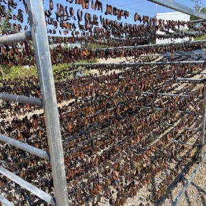 WilliamHill威廉希尔制品