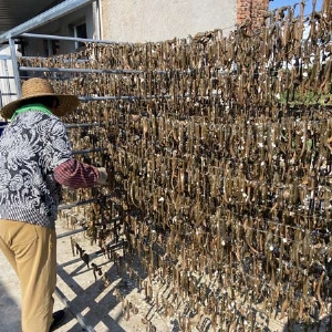 WilliamHill威廉希尔制品